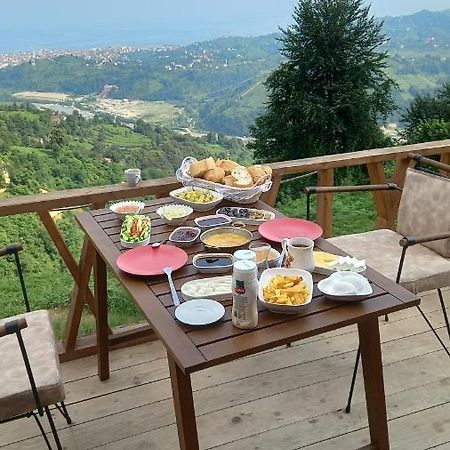 Drosa Bungalov Bed & Breakfast Ardeşen Dış mekan fotoğraf
